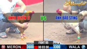 TRẬN 65 CPC3 12/1/2025 : ANH DUYÊN TI VS ANH BẢO STING