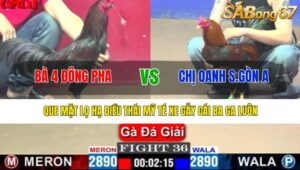 TRẬN 36 CPC1 10/4/2025