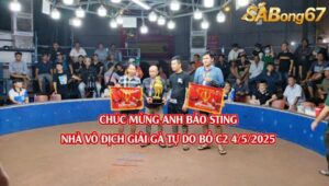 ANH BẢO STING VÔ ĐỊCH