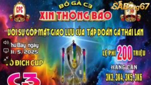 GIẢI VÔ ĐỊCH CÚP C3 NGÀY 31/5/2025