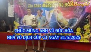 HÀNH TRÌNH VÔ ĐỊCH CÚP C3 NGÀY 31/5/2025