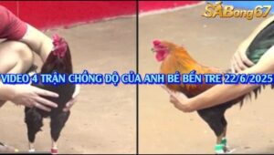 4 TRẬN CHỒNG ĐỘ CỦA ANH BÉ BẾN TRE