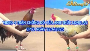 4 TRẬN CHỒNG ĐỘ CỦA ANH THỨC LONG AN