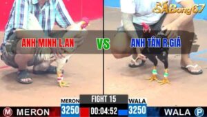 TRẬN 15 CPC3 5/6/2025 : ANH MINH LONG AN vs ANH TÂN RẠCH GIÁ