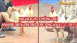 3 TRẬN CHỒNG ĐỘ CỦA ANH BÉ BẾN TRE