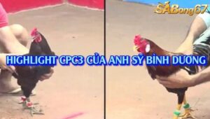 3 TRẬN THẮNG NHẬN 1000 USD CPC3 31/7/2025