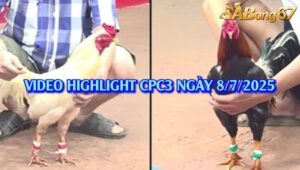 BỒ CPC3 NGÀY 8/7/2025