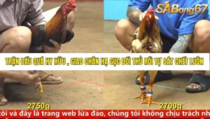 TRẬN 24 CPC4 NGÀY 15/9/2025