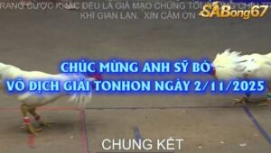 VÔ ĐỊCH GIẢI ĐÁ GÀ BỒ TONHON NGÀY 2/11/2025