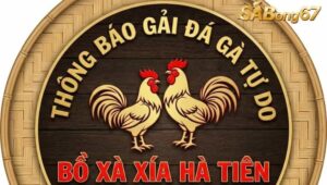 GIẢI GÀ TỰ DO BỒ XÀ XÍA HÀ TIÊN NGÀY 31/1/2026