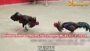VÔ ĐỊCH GIẢI TONHON NGÀY 21/1/2026