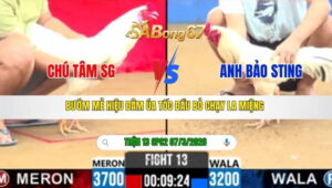 TRẬN 13 CPC2 NGÀY 07/3/2026