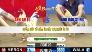 TRẬN 20 CPC2 NGÀY 07/3/2026