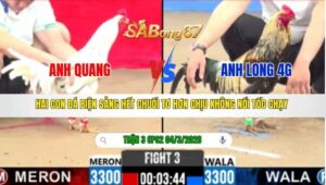 TRẬN 3 CPC2 NGÀY 04/3/2026