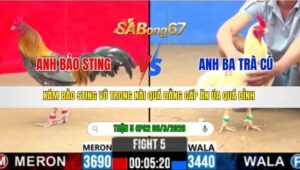 TRẬN 5 CPC2 NGÀY 06/3/2026