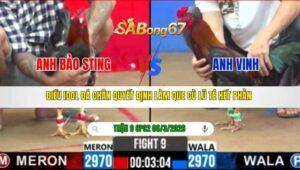 TRẬN 9 CPC2 NGÀY 06/3/2026