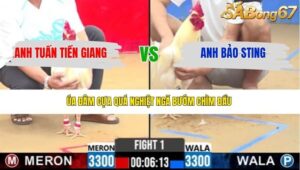 TRẬN 1 CPC2 31/3/2026