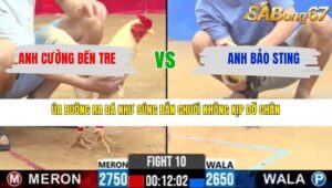 TRẬN 10 CPC2 27/3/2026