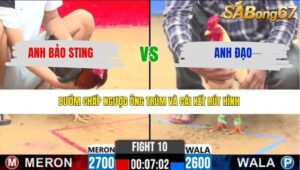 TRẬN 10 CPC2 31/3/2026