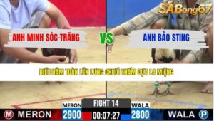 TRẬN 14 CPC2 25/3/2026