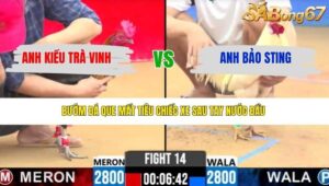 TRẬN 14 CPC2 31/3/2026