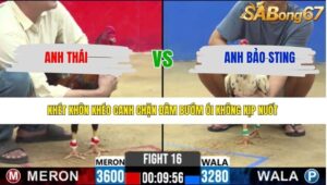 TRẬN 16 CPC2 25/3/2026