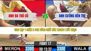 TRẬN 17 CPC2 27/3/2026