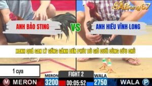 TRẬN 2 CPC2 24/3/2026