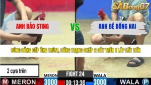 TRẬN 24 CPC2 20/3/2026