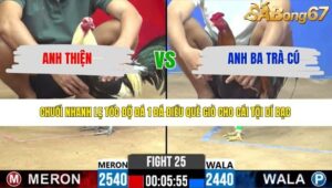 TRẬN 25 CPC2 27/3/2026