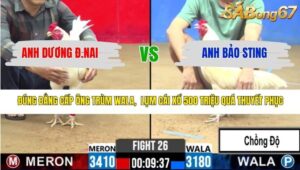 TRẬN 26 CPC2 13/3/2026