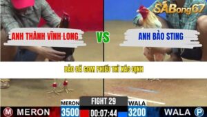 TRẬN 29 CPC2 17/3/2026