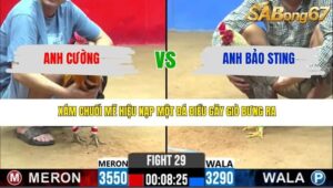 TRẬN 29 CPC2 18/3/2026