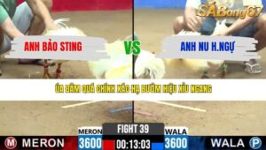 TRẬN 39 CPC2 13/3/2026