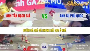 TRẬN 4 XÀ XÍA 29/3/2026