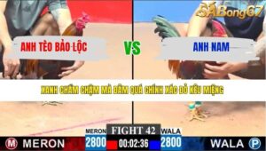 TRẬN 42 CPC3 28/3/2026