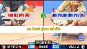 TRẬN 53 CPC3 22/3/2026