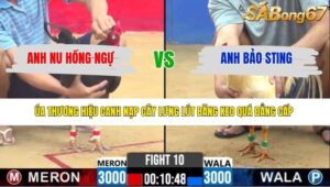 TRẬN 10 CPC2 24/3/2026