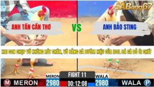 TRẬN 11 CPC2 7/4/2026