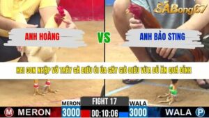 TRẬN 17 CPC2 7/4/2026