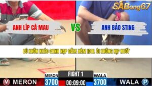 TRẬN 1 CPC2 29/4/2026