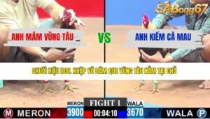 TRẬN 1 CPC3 19/4/2026