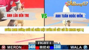 TRẬN 1 CPC3 23/4/2026