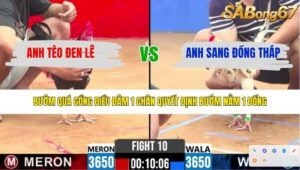 TRẬN 10 CPC2 15/4/2026