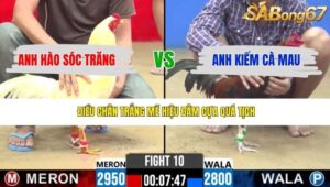 TRẬN 10 CPC2 25/4/2026