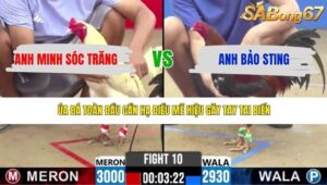 TRẬN 10 CPC2 29/4/2026