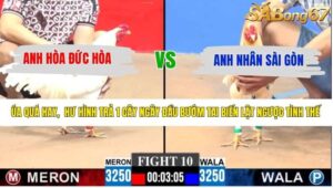 TRẬN 10 CPC3 20/4/2026