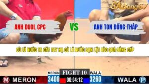 TRẬN 10 CPC3 27/4/2026