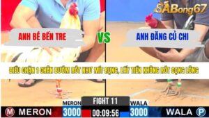 TRẬN 11 CPC2 16/4/2026