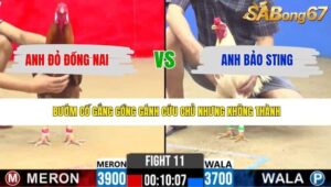 TRẬN 11 CPC2 25/4/2026